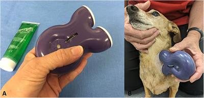 Feasibility of Non-Invasive Vagus Nerve Stimulation (gammaCore VET™) for the Treatment of Refractory Seizure Activity in Dogs